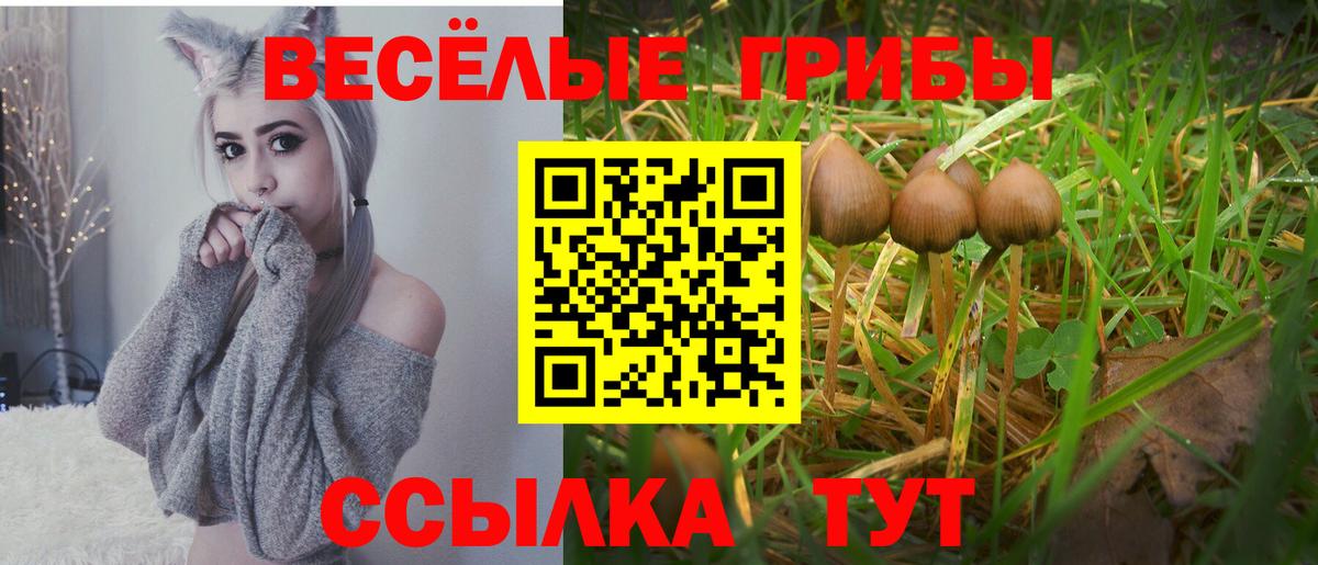 Галлюциногенные грибы MAGIC MUSHROOMS  Вход с VPN  даркнет сайт  Углич 